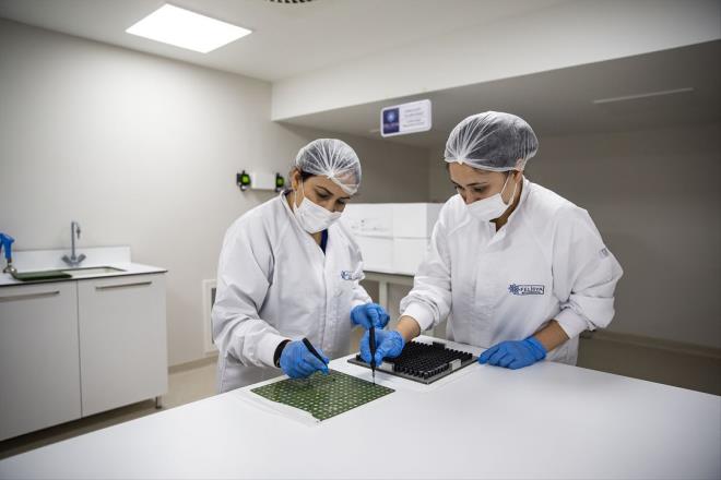 Akpnar, Trkiye'nin etrafndaki lkelerin resmi kurumlarndan onay almas ilemlerinin de devam ettiini belirterek,"Almanya'da ilgili otorite olan Federal la ve Tbbi Cihazlar Enstitsnde (BfArM) bir kayt gerekletiriyoruz. Almanya, pek ok sektrde olduu gibi bu sektrde de kabul merkezi durumunda. Akabinde, Amerika eyalet ve FDA onaylar iin almalara baladk. nallah en ksa srede bu almalar tamamlayp ABD'de Diagnovir'i ticariletirmek istiyoruz. Dou Avrupa lkelerinde de kaytlar 3-4 lke ile Trk Cumhuriyetleri zelinde devam ediyor. Dnya Salk rgt onaylar iin de ilk adm attk, o listeye girmeyi de hedefliyoruz." diye konutu.