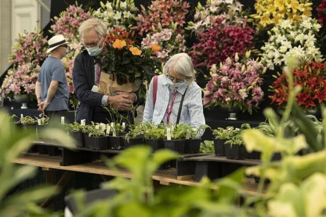 Daha nce ZOE Covid Semptom almas kapsamnda iki doz aya ramen Kovid-19 olan kiilerde 4 ana semptom belirlenmiti. Bu belirtiler ba ars, burun aknts, haprma ve boaz ars olarak aklanmt.