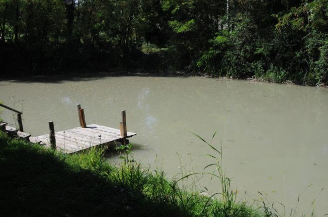 Yetkililerin bir an nce nlem almas gerektiini belirten iletmenin orta Cihan Karagz, ?Alabalk tesisimizde son 3 ay ierisinde dadan gelen dere suyunun ciddi anlamda kirlendiini grdk ve balk lmleri yaanyor. Dere yataklarnda devam eden alma hepimizi madur etti. Duyun insan salna da zarar vereceini dnyoruz. Glde de yarn balk lmleri balayabilir? diye konutu.