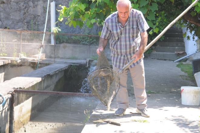 Buradaki suyun ime suyu olarak kullanlan Sapanca Gl'ne aktn belirten Bakar, "Defalarca yetkililere bilgi verdik ama u ana kadar en ufak bir sonuca ulaamadk. Binlerce balk lmne sebep verdiler. Bu suda balklar yaamad, insanlar bu suyu nasl iecek?? diye konutu.