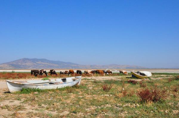 "Derinlii 8 santimetre bile deil"<br>  Yalva, " Grdes baraj yaplnca, Kum aynn oraya dklmesi saland. Gln beslenmesi bitti. Manyas Gl'nden sonra binlerce eit ku trnn barnd ve blge halknn balklkla geimini salad gl her geen gn ekildi. Su ekile ekile 90 bin metrekareden, 45 bin metrekareye kadar dt. Derinlii ise 8 santimetre bile deil" diye konutu.