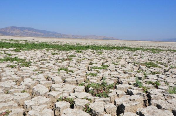 Gl, son 2 yldr yaanan su kayb nedeniyle kurudu. Tepeli pelikan ve karabatak gibi nesli tehlikede 101 farkl trden 20 bin su kuuna ev sahiplii yapan glde, su seviyesi yer yer 8 santimetreye kadar dt.