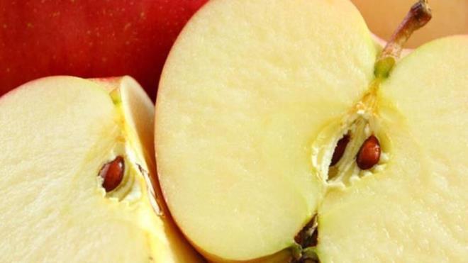 Elma:<br>  Lif ierii yksek olduundan, sindirim srecine yardmc olmaktadr ve mide rahatszlklarnn nlenmesini salamaktadr.