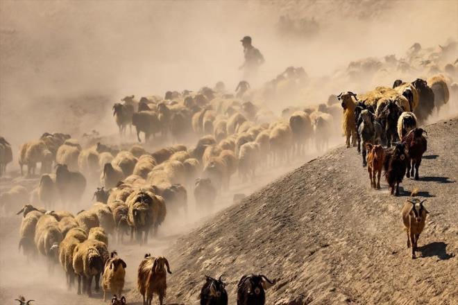 Nemrut dann eteklerine yayla yolculuu...