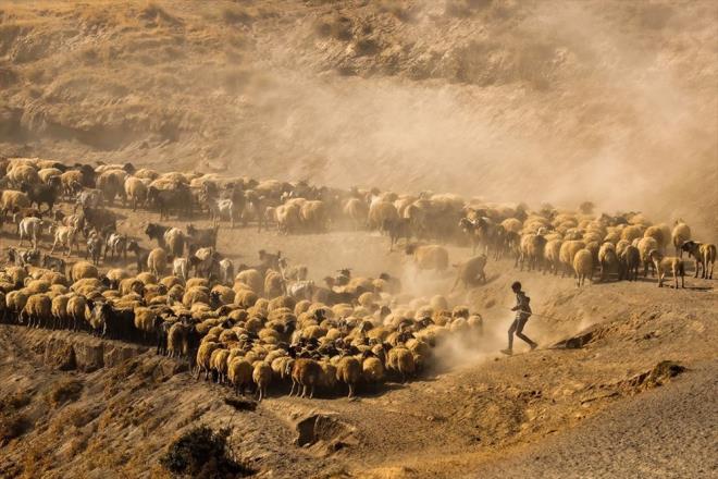 Sam ilemi gerekletikten sonra snm bir volkanik da olan ve Trkiye'nin en byk volkanik glnn zerinde bulunduu Nemrut dann eteklerine yayla yolculuu balyor.