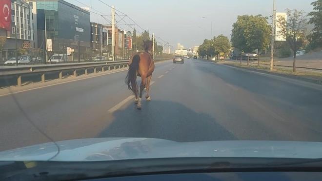 At gren srcler kaza yapmamak iin byk aba sarf etti.