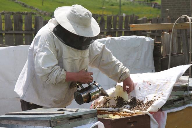 Ballar tahlil iin Ankara?da Hacettepe niversitesi'ne gnderildi. Tahlilden dnen ballarn ncelikli hastalarn talepleri karlanmak zere satna balanacak. Anzer bal iin u ana kadar ise 1 ton sipari alnd.