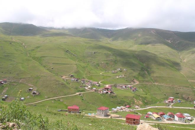 kizdere'ye bal Ballky'deki Anzer Yaylas'nda bu yl 200 retici, 3 bin kovanda bal retimi yapt. Yaylada arlar, yaz boyu 40' endemik 300'e yakn iekten oluan zengin yayla florasndan iek z toplayarak, 2 ton 400 kilo bal retti.