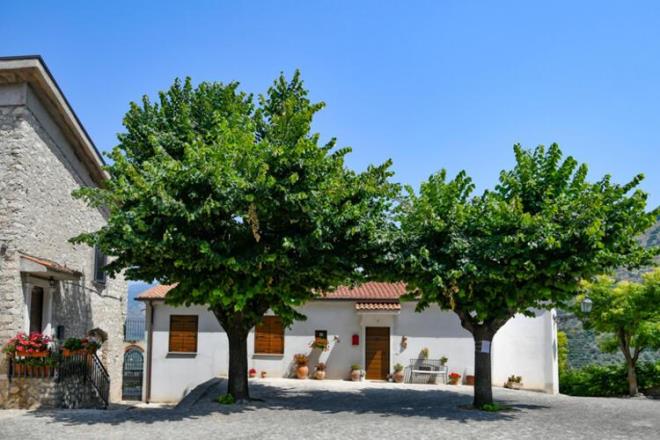 Birden fazla bavuru sahibi ayn evi istiyorsa, yerlemek isteyenlere ve en hzl tadilat planlayanlara ncelik verilecektir. Sperduti, kasabann dierlerinden farkl olarak, son 20 ylda 3.000'i zar zor am olsalar bile, azalan nfus saylarn durdurmak iin 1 Euro'luk evler teklif etmediini sylyor.