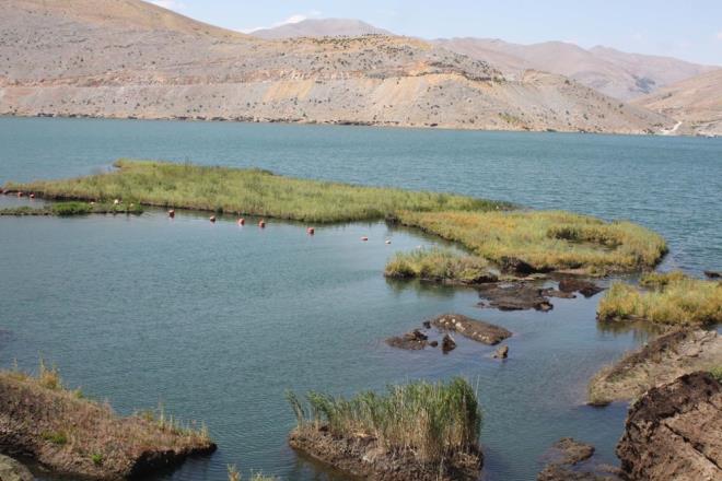 elikhan'n Petelik mevkisindeki at Baraj glnde, oluumlar yaklak 3 bin ylda tamamlanan, su altndaki ykseklikleri 3 ile 5 metre, alanlar ise 100 ile 500 metrekare arasnda deien ok sayda yzen ada yer alyor. Yaz mevsiminde ok sayda kiinin ziyaret ettii yzen adalar, su debisinin dmesi nedeniyle veya kuvvetli rzgarlarn etkisiyle kyya vurarak zarar gryor.