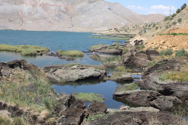 Yzen adalar su yzeyinde tutmay planladklarn anlatan le Tarm ve Orman Mdrl letme Mhendisi Mert Baran ise, "Yzen adalarn su yzeyinde sabitlenmesi ile bu doal gzelliklerin yok olmas nlenecektir. Ayn zamanda projenin tamamlanmas ve tantmnn yaplmas ile baraj gl yzeyindeki yzen adalar, ile turizmine nemli katk salayacaktr" diye konutu.