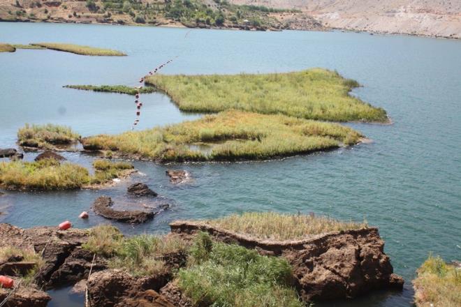 elikhan le Tarm ve Orman Mdr Hseyin Akn, baraj glnde su seviyesinin dmesi veya doa artlarndan dolay yzen adalarn kyya oturmasnn nlenmesi iin alma yapldn syledi. Tabiat Varlklarn Koruma Kurulu?ndan izin alnarak fizibilite almalarnn yapldn aktaran Akn, "pekyolu Kalkndrma Ajans tarafndan desteklerinin proje kapsamnda Tabiat Varlklarn Koruma kurulundan gerekli izinler alnarak fizibilite almas yapld. at Baraj glnde bulunan yzen adalar, su debisinin dmesiyle kyya vurarak tahrip oluyordu. Bunu engellemek amacyla yzen adalarn su yzeyinde sabitlenmesini amalyoruz" dedi.