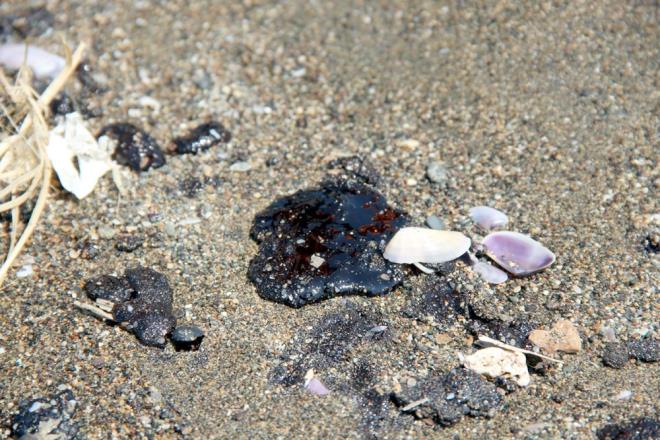 6 GEM TEMZLEME ALIMALARINI SRDRYOR  Ak denize szan fuel-oilin ncelikli olarak Kuzey Kbrs Trk Cumhuriyeti karasularna doru ilerlediini kaydeden Vali Doan, "Nene Hatun acil mdahale gemisi, Seyit Onba atk toplama gemisi ve yine bu gemilere benzer donanma sahip 4 gemi, toplam 6 gemiyle birlikle ak denizlerde de bu temizlik almas yrtlmektedir" dedi.