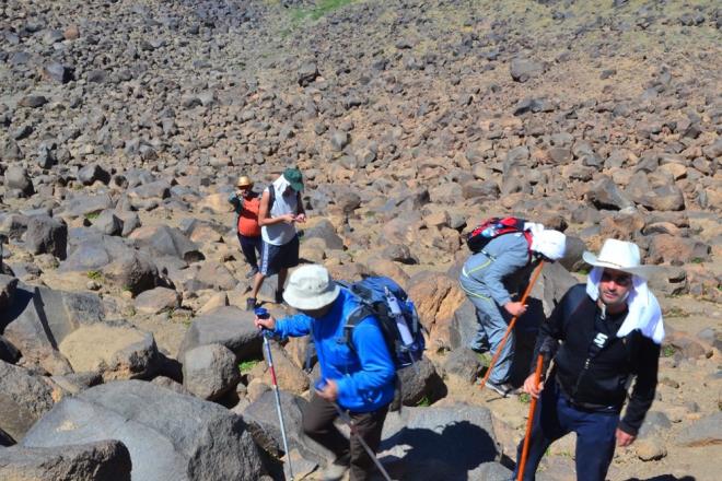 ''FELAKETE DNTNN GSTERGELER''  2019?da hazrladklar ?Daclk A? projesi ile kresel iklim deiiklii konusunda farkndalk oluturmay hedeflediklerini belirten zkaleden, Avrupa Birlii Sivil Dn Program'nn da kendilerine sponsor olduunu syledi.
