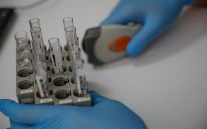 Trkiye salgnla mcadelede yeni bir dneme giriyor. ileri Bakanl, Salk Bakanl ve Milli Eitim Bakanl'nn yaynlad genelgeler ile bundan byle iki doz asn yaptrmam olanlar, okullar, uak ya da trenle ehirleraras yolculuklar, ma, konser gibi toplu alanlara girite negatif PCR test sonucu gstermek zorunda olacak. Okullarn almasyla beraber de eitim sektrnde alan bata retmenler olmak zere tm personelden haftada iki kez PCR testi istenecek.