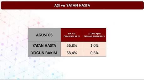 stanbul l Salk Mdrl'nn ilk kez Demirren Haber Ajans ile paylat verilere gre, hi a olmayanlarn hastaneye yat oran yzde 56,8 iken, youn bakma dme riski ise yzde 58.4'e kyor. Alananlarda bu risk yzde 1'in bile altnda kalyor.