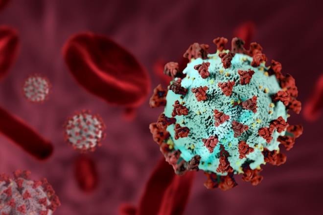 mRNA alar corona virsn vcuda tutunduu baak proteinine talimat vererek alyor. Bir kiinin baklk sistemi proteini algladnda, onunla savayor. Virse tekrar karlatnda ise proteinlere kar oluan gl bakl devam ettiriyor.