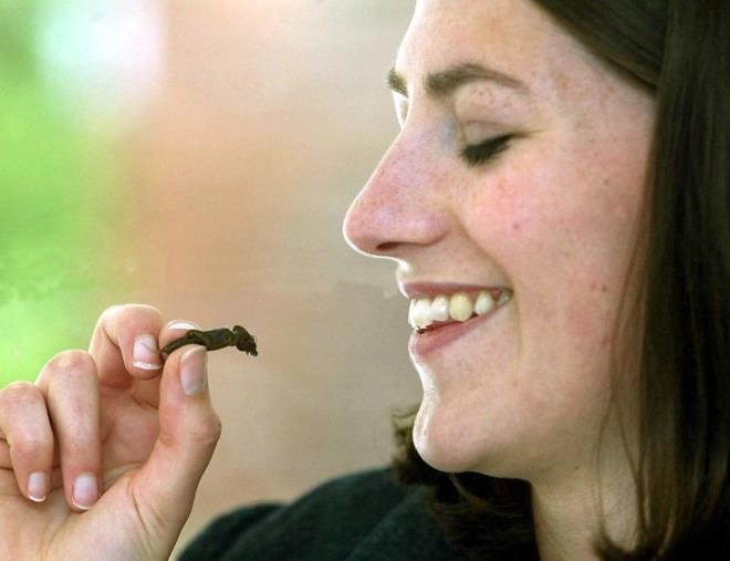 Yakn gelecekte gereklemesi uzak bir fikir gibi grnse de baz uzmanlar evresel faktrler ve nfus art nedeniyle Bat?nn beslenme rutinine de bceklerin eklenmesinin mmkn olacan dnyor.