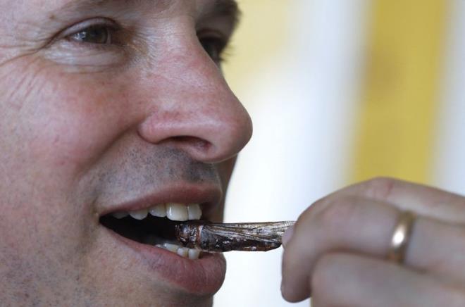 CEVZ, MANTAR, KAHVE, KOLATA...    Ayn dnemde itfiler tarm arazilerini ekirgelerden korumaya abalarken orada yaayan Yemenli ve Fasl Yahudilerin bceklerin tonlarcasn yemek iin topladklarn anlatan giriimci, bugn de bceklerin bu ekilde tketilebileceine olan inancn paylat.    rnleri arasnda yer alan bir paket kahverengi eker paketini aarak, ?Bir deneyin. Kk ekerler proteinle dolu ama soya veya jelatinden deil. Bunun yerine, ekirgelerden yapldlar.    ekirgelerin tad ceviz, mantar, kahve ve ikolata gibi, portakal ve ilek aromas da gelecek? dedi. Tamir, irketinin enerji barndan burgere ve falafele kadar genileyen rn gamyla bceklere dair yerlemi bu fikri deitirmeyi umuyor.