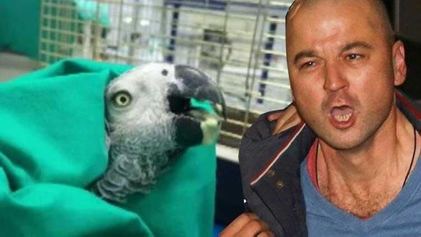 TV8'de yaymlanan MasterChef Trkiye adl yarma programndan diskalifiye edilen ve evinde besledii papaana eziyet ettii grntlerle gndeme gelen Murat zdemir'in skandallar bitmek bilmiyor.