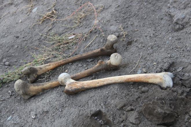 te yandan, Erzurum ehir merkezinin 17 kilometre kuzeyinde bulunan Deirmenler Hy, Karaz, Pulur ve Gzelova Hykleri gibi blgenin nemli merkezleri arasnda yer alyor.