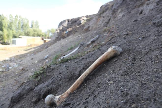 Hyn ierisinde bulunan kemikleri yuva yapan kularn ve yamur sularnn meydana kard tahmin ediliyor.