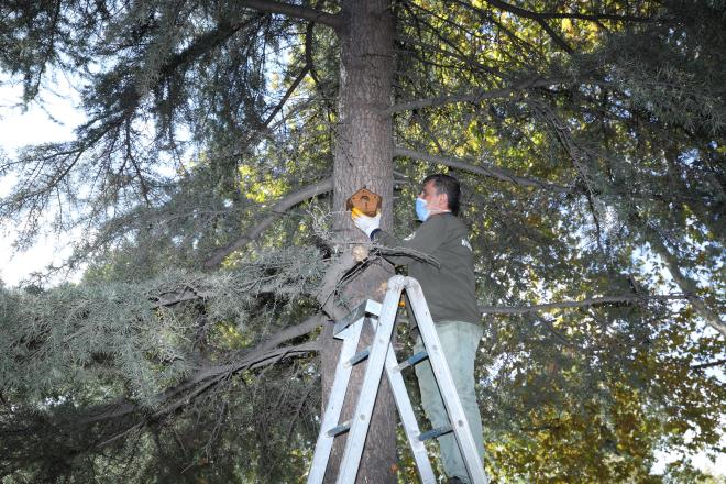 Ylda 1200 tedavi<br>  Sokak hayvanlaryla alakal birok almalarnn olduunu hatrlatan Bakan Akta, Bursa Hayvanat Bahesi?nin ocuklarn hayvan sevgisinin artmas konusunda nemli bir ara olduunu belirtti. Bakan Akta, ?Sahipsiz, bakma muhta hayvanlarla alakal nemli almalar yapyoruz. Onlarn tedavileri ve tekrar doal yaama dndrmeyle alakal ciddi bir ekip ve ekipmanla alyoruz. Yavrularmzn bu konuda daha bilinli olmasn arzu ediyoruz. Hayvanat Bahesi ube Mdrlmz ylda ortalama 1200 civarnda hayvan tedavi ederek doal yaama brakyor. Bu hayvanlarn ou mart, gvercin, leylek gibi ku trleri. Hayvanat Bahemizde de uan 137 trden 1106 adet hayvann doal koullarna en yakn artlarda bakm ve beslenmesi gerekleiyor. Ylda 15 bin civarnda da ocuumuza bu konuda eitim veriliyor. zellikle Bursa?daki ailelerimize buradan arda bulunuyorum. Sonbahara gelmemize ramen havalar nispeten iyi. ocuklarn alsnlar, ailelerini elerini alsnlar, arkadalarn alsnlar, burada hem piknik yapabilecekleri hem de kafelerinden istifade edebilecekleri bir ortam ve beraberinde eit eit hayvanlar tanyabilecekleri bir ortam var. ocuklarmzdaki hayvan sevgisini artrmak adna burann ok gzel bir ara olduunu ifade ediyorum? diye konutu.