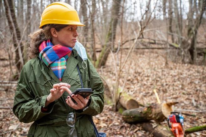ORMAN YANGINI MFETTLER VE NLEME UZMANI