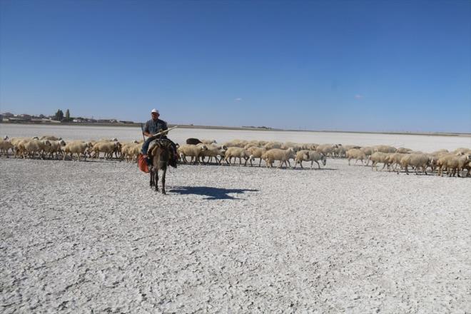 Aksaray'n Eskil ilesinde Akgl ky snrlarnda yer alan 210 bin metrekare byklndeki tatl su gl tamamen kurudu.    Akgl, gmen kular ve zellikle flamingolar iin nemli besin ve yumurtlama alan olarak ne kyordu.