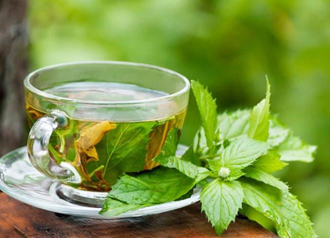 Taze Nane ay Nasl Yaplr?  <br>    7 su barda scak su olan bir demliin ierisine poet ay ya da nane yapraklar yerletirin. Azn kapatarak 5 dakika demlenmeye brakn.    <br>  Ardndan zerine ay szn, zerine limon ve toz eker ekleyerek iebilirsiniz.