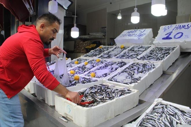 Karadeniz'de balk av sezonu bereketli geerken  hamsinin kilogram 10 liraya kadar dt.