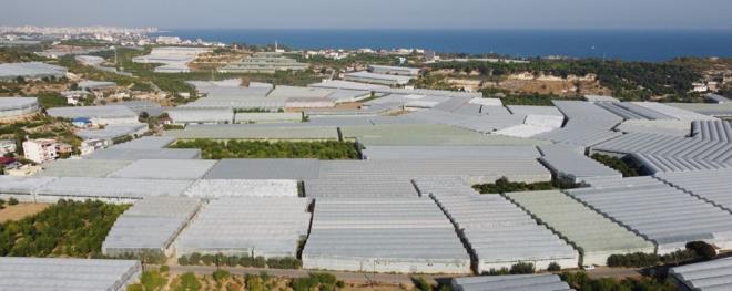 "BYK UURUMLAR VAR"  reticilerden Mesut Baar ise, "Muzu yeni yeni kesmeye balyoruz. Zaten yazn scak olduu iin fazla verim alamadk. Bundan 20-25 gn nce 8 lirayd fiyat, uan 6 lira. Hatta ikinci kalite muzlar 3 lira. Artk bundan sonra hasat oalr, kesim artar. uan da birinci kalite muzu 6 liraya veriyoruz ikinci kaliteyi 3 TL?ye veriyoruz. Ama markette birinci, ikinci deil 15, 17, 18 lira. Yani arada byk uurumlar var" eklinde konutu.