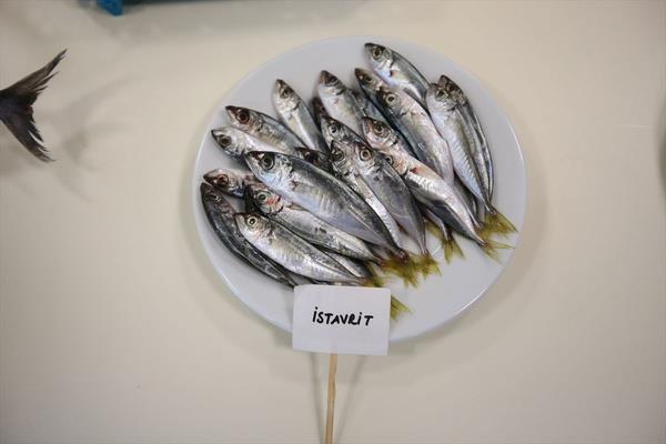 Balklarn beden sal ve vcudun dokularnn yenilenmesi iin faydal olduunu belirten Demirkol, yaptklar aratrmada, hangi balk eitlerinde ne gibi besin deerinin fazla ya da az olduunu almada grdklerini dile getirdi.