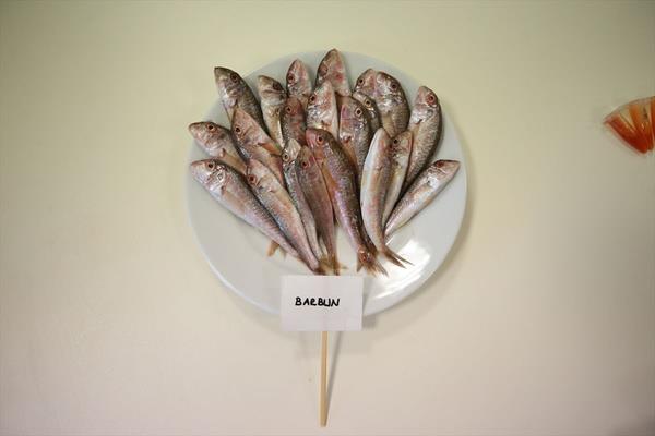 Hamsinin birok parametre asndan n plana ktn dile getiren ahin, bu baln mevsiminde daha ok tketilmesini nerdi.