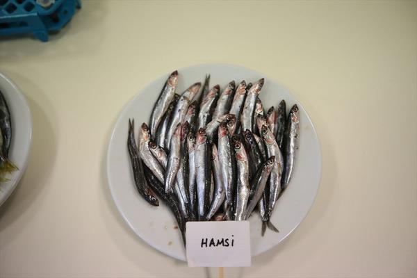 Smeyye ahin, AA muhabirine, balklarn insan sal iin olduka nemli olduunu belirterek, ierdii omega 3?n kan basncn dengelediini, eitli kalp hastalklarndan koruduunu bundan dolay da kalp dostu olarak bilindiini ifade etti. ahin, ancak her baln omega 3 kayna olmadn, vcudun omega 3 ihtiyacn karlamak iin de hamsi gibi yal balklarn tketilmesi gerektiinin altn izdi.