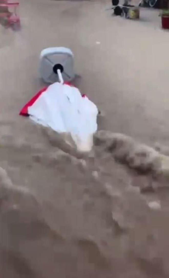 VAPUR SEFERLER PTAL EDLD<br>  Olumsuz hava artlar nedeniyle vapur seferleri yeniden iptal edildi.    ZDENZ A'den yaplan aklamada, hava ve deniz koullarnda yaanan olumsuzluk nedeniyle vapur seferlerinin geici sreyle iptal edildii bildirildi.    Kentte etkili olan iddetli rzgar ve saanak nedeniyle vapur seferlerine bugn saat 10.00'dan 11.00'e kadar ara verilmiti.