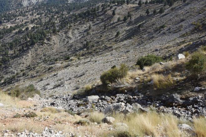 Uarsu elalesi'ne gezmeye gelen Altan Kll, "Elmal, Ka, Demre, civar ime suyu salayan Uarsu kurudu.  lk kez byle bir ey yaanyor. Normalde aralk ayna kadar akar, su olurdu. Ama bu yl eyll ayndan itibaren suyun kesildiini grdk" dedi.