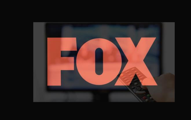 Reyting savalar iyice kzt kanallarn ii ok zor. Son zamanlarda ard arda birok dizi iin erken final karar veren FOX, son olarak 2. sezonunda ok umutlu olduu Son Yaz dizisini bitirme karar ald ve byk ses getiren dizi erken final yapt.