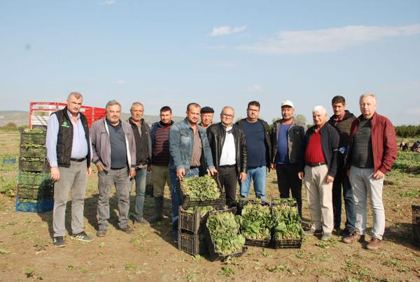 Menemen?deki spanak reticileri ve iiler, Giresun?da yedikleri spanaklarn arasnda karan avrat otu nedeniyle zehirlendikleri ne srlen 6 kiinin haberinin ardndan skntya dtklerini syledi. rettikleri spanaklarn haller tarafndan alnmadn, gnde yaklak 100 iinin alt tarlalarda bugn sadece 10 iinin alabildiini ifade eden reticiler, Trkiye'deki tm spanaklarn zehirli olmadn dile getirdi.