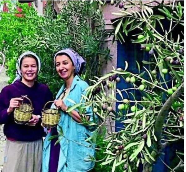 Banda tlbent, zerinde alvaryla zeytin toplad  <br>  'Camdaki Kz'n Nalan' Burcu Biricik; banda tlbent, zerinde alvaryla zeytin toplarken ektirdii fotoraflar sosyal medyada paylat.