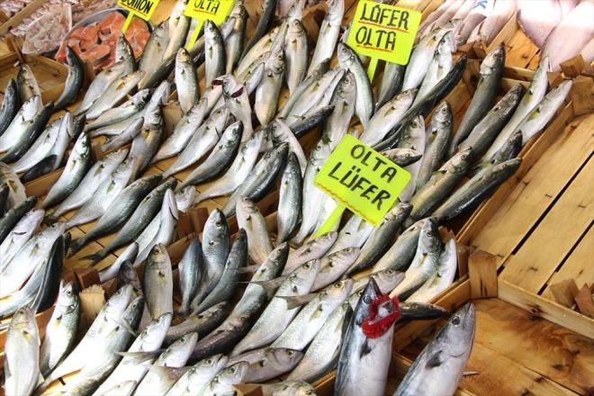 Deniz rnleri Avclar reticileri Merkez Birlii (DEM-BR) Bakan Nihat Ik da lfer bolluuyla ilgili deerlendirmelerde bulundu.