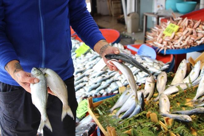 Son dnemde Marmara zerinden Ege Denizi'ne doru g eden lfer adedinin 100 milyonu bulduunu tahmin ettiini aktaran Ik, szlerini yle srdrd:    "20 yldan bu yana grlmeyen bir lfer bolluu yayoruz bu sene ama bu lfer geiinden sadece 7 metre uzatma a atan tekneler bal yakalayabiliyor. 24 metre av yasa olduu iin grgrlar bu lfer baln avlayamyorlar. O yzden de say olarak tezgahlara balk az dyor. Bu sene 24 metre yasa olmasayd, lferin tanesi vatandaa 5 liraya gelirdi"