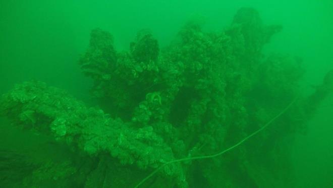 Eskiye nazaran msilajdan eser kalmadn syleyen Dnya Engelliler Serbest Dal ampiyonu Ufuk Koak, "ndiimiz her derinliin zerinde msilajn korku filmlerinde olduu gibi bir rts vard. Eskiden her ey hayalet gibiydi, lmn perdesi gibi yaylmt.