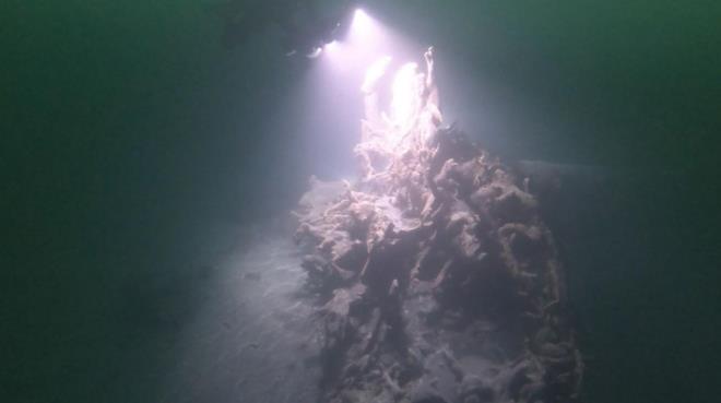 Msilaj etkisinin azalmasyla, dal iin gelenlerin saysnda art olduunu syleyen dal eitmeni Cihan Arslan, "u anda msilajn herhangi bir etkisi yok. 4 ay ncesine kadar gr artlar ok ktyd, hem su yzeyinde hem de su dibinde. u anda msilajdan eser yok, gr gayet iyi. Normal standartlarna dnd Marmara Denizi.