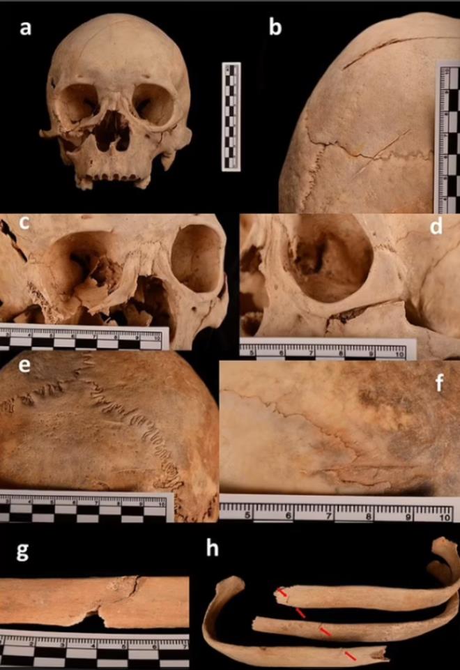 Archaeological and Anthropological Sciences adl dergide yaymlanan alma kapsamnda aratrmaclar, kalntlarn mezar odasnn tabanndan 14 metre ykseklikte oturduunu belirledi. Bu durum ise sz konusu adamn, mezar soygunu gerekletikten nemli bir sre sonra ldn gsteriyor.