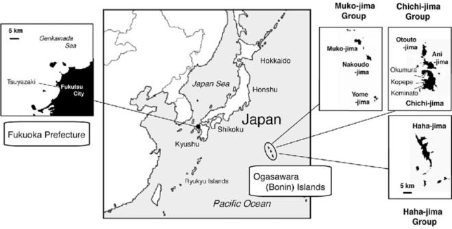 751 kilometre derinlie ulaanl depremin ardndan, Dnya'nn alt mantosunun derinliklerinde onlarca daha az iddetli art sarsnt kaydedildi.