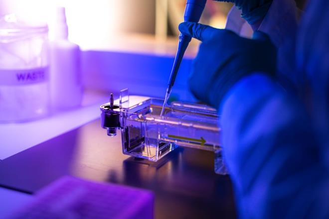 YEN BR YNTEM KULLANILDI    Bununla birlikte almada, uzun zaman nce lm bir insandan alnan DNA'nn, yaayan bir birey ile  arasndaki ailesel bir ilikiyi gstermek iin ilk kez kullanld.    Yeni yntem, Cambridge niversitesi'ndeki Lundbeck Vakf Genetik Merkezi'nin yneticisi Eske Willerslev liderliindeki bilim insanlar tarafndan gelitirildi.