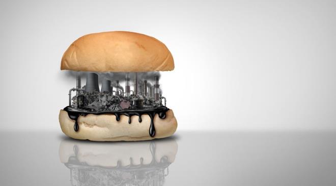 Bununla birlikte bilim insanlar, sipari ettikleri yiyeceklerin yzde 81'inin astm riskinin artmasyla balantl olan DnBP adl bir ftalat ierdiini, yzde 70'i ise dourganln azalmasna ve dier reme sorunlarna bal olan DEHP ierdiini aktard.