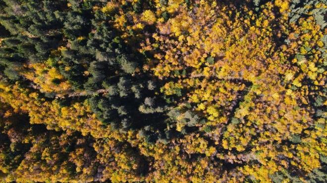 Ekoturizm asndan yksek potansiyele sahip Kre Dalar, sonbahar mevsiminin btn gzelliklerini ziyaretilerine sunuyor.