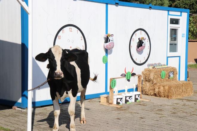 Daha ncesinde yaplmayan aktivitileri hayata geirmek istediini syleyen Yldz, "evre artlarna uyarak rnein ky okulunda olmam inei getirmem iin uygun bir ortam bu nedenle byle bir etkinlik yaptm. Bu etkinlikten sonra  evde hazrlayp sslediim hazr stleri ocuklara dattm. ? eklinde konutu.